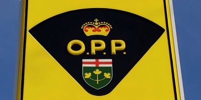 Orillia - animals rescued