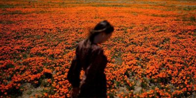 Welcome to allergy season. Here's how to protect yourself