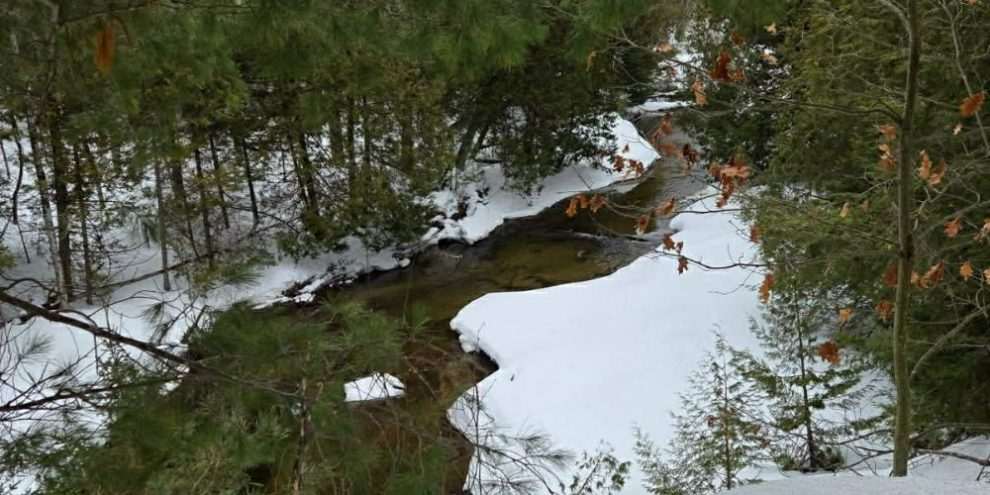 Willow Creek in Springwater Township