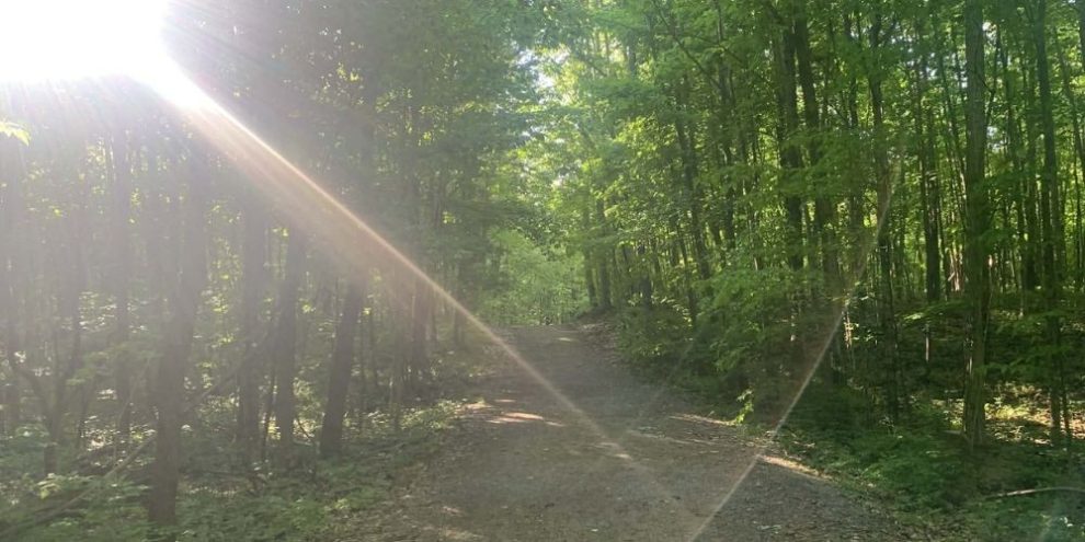 Sunlight filtering through trees along a walking trail at The Gables Park in Barrie, Ontario
