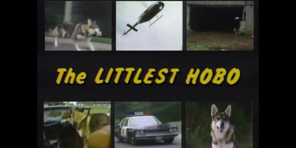 Littlest Hobo viA CBC