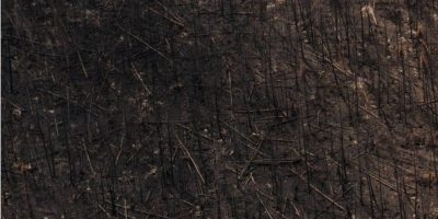 Wildfire damage near Collins First Nation in northwestern Ontario after the 2026 wildfire season