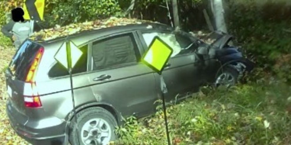 Vehicle struck a tree in a school zone on Cedar Lane in Bracebridge on Oct. 6, 2026.